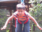 flying fox goa