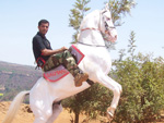 horse riding goa