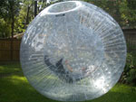 zorbing goa