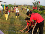 environmental camps goa